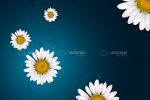 Abstract Floral Background